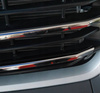 Front Dummy Strips Grill Fiat Ducato 2014+
