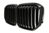 GRILL till BMW X7 G07 19-22 SINGLE SLAT GLOSS BLACK