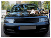 Grill atrapa bez znaczka Vw Passat B5 96-00