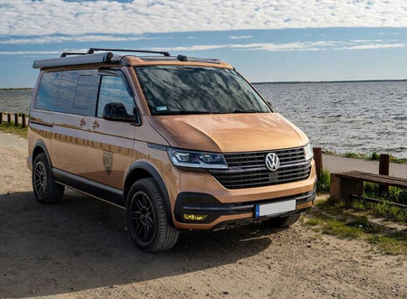 Termomattor, fönsterskydd RENAULT TRAFIC 2014-