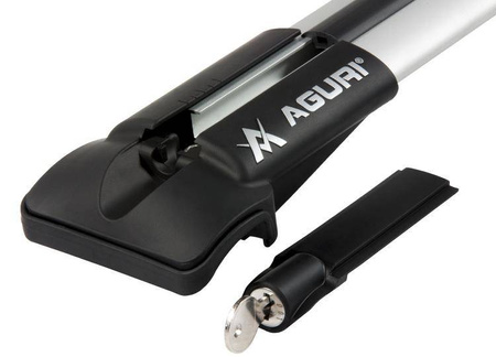 Takräcke för räls Citroen Cactus 2015