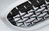 Diamant silver njurgrill BMW G20 G21