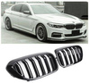 GRILL (NJURAR) BMW G30 G31 DUBBEL M5 LOOK GLANSIG B