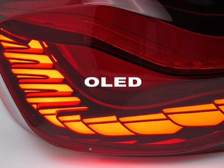 OLED röda LED-bakljus för BMW F10 10-16