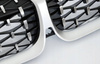 Diamant silver njurgrill BMW G20 G21