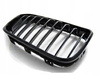 Front njurgrill glans för Bmw F20 F21 15-18