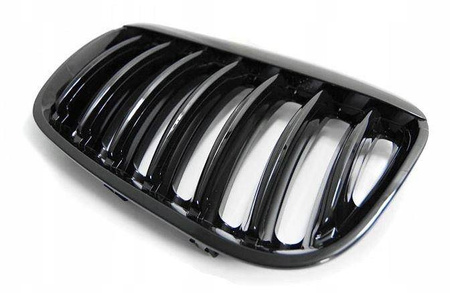 Främre njurgrill glansig för Bmw X5 E53 03-06