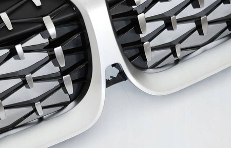 Diamant silver njurgrill BMW G20 G21